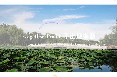 wx.getUserProfile 不出现弹窗 wx.getUserProfile 不出现弹窗