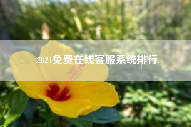 2021免费在线客服系统排行