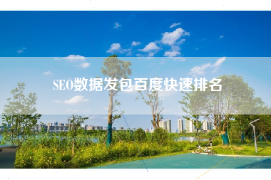 SEO数据发包百度快速排名