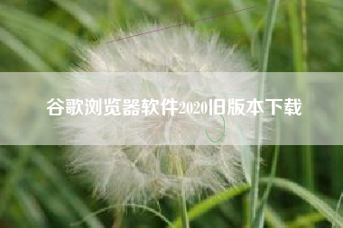 谷歌浏览器软件2020旧版本下载