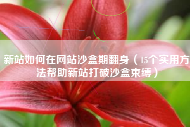 新站如何在网站沙盒期翻身（15个实用方法帮助新站打破沙盒束缚）