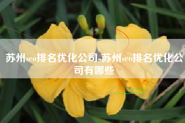 苏州seo排名优化公司-苏州seo排名优化公司有哪些