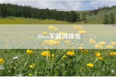 AIseo关键词排名