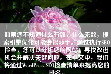 如果您不知道什么有效，什么无效，搜索引擎优化可能会很棘手。通过执行SEO检查，您可以分析您的网站、寻找改进机会并解决关键问题。在本文中，我们将通过WordPress SEO检查清单来提高您的排名。