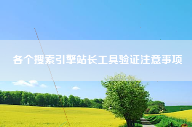 各个搜索引擎站长工具验证注意事项