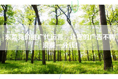 东莞竞价推广代运营，让您的广告不再浪费一分钱！