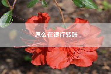 怎么在银行转账