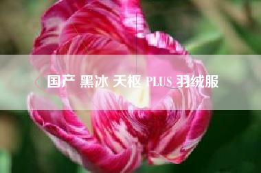 国产 黑冰 天枢 PLUS 羽绒服
