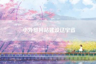 小外贸网站建设辽宁省
