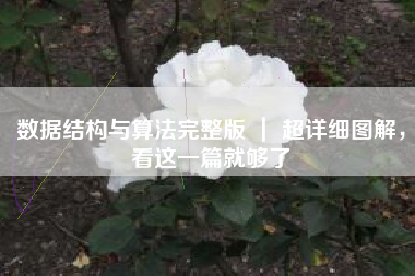 数据结构与算法完整版 | 超详细图解,看这一篇就够了 数据结构与算法完整版 | 超详细图解,看这一篇就够了