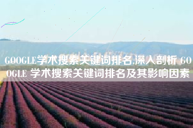 GOOGLE学术搜索关键词排名,深入剖析 GOOGLE 学术搜索关键词排名及其影响因素