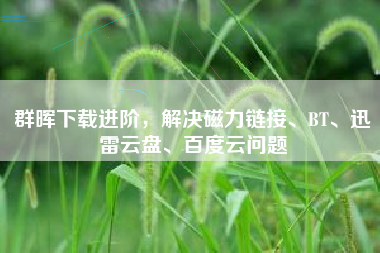 群晖下载进阶，解决磁力链接、BT、迅雷云盘、百度云问题