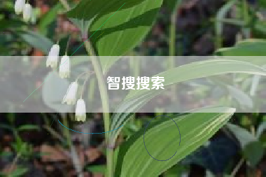智搜搜索