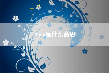 2min是什么意思