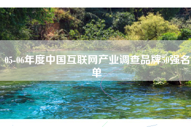 05-06年度中国互联网产业调查品牌50强名单