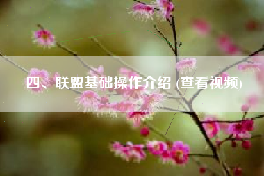四、联盟基础操作介绍 (查看视频)