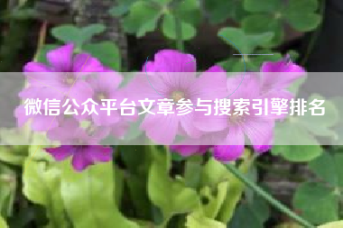 微信公众平台文章参与搜索引擎排名