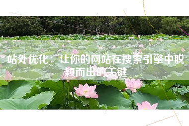 站外优化：让你的网站在搜索引擎中脱颖而出的关键