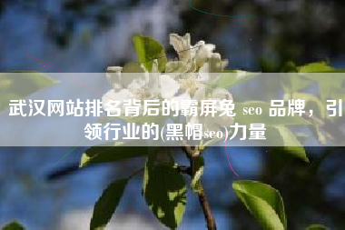 武汉网站排名背后的霸屏兔 seo 品牌，引领行业的(黑帽seo)力量
