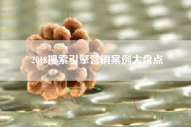 2018搜索引擎营销案例大盘点
