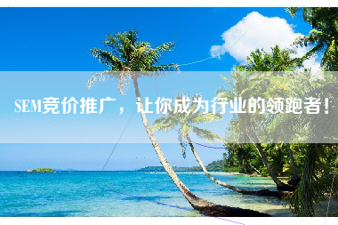 SEM竞价推广，让你成为行业的领跑者！