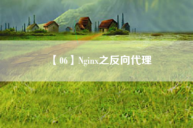 【06】Nginx之反向代理