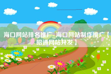 海口网站排名推广_海口网站制作推广【昭通网站开发】