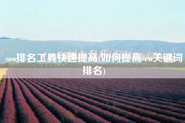 seo排名工具快速提高(如何提高seo关键词排名)