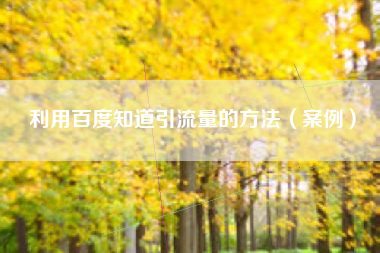 利用百度知道引流量的方法（案例）