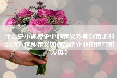 什么是小规模企业的定义及其对市场的影响？这种定义如何影响企业的运营和发展？