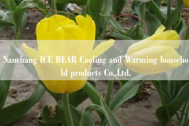 Nanchang ICE BEAR Cooling and Warming household products Co.,Ltd.