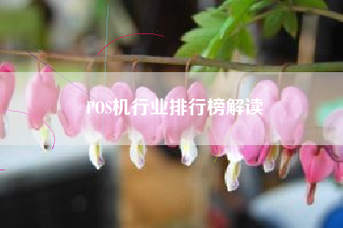 POS机行业排行榜解读