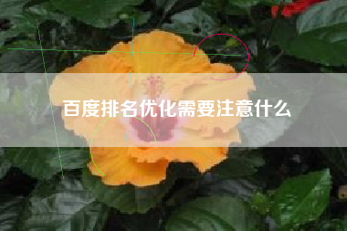 百度排名优化需要注意什么