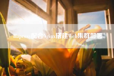 Haproxy配合Nginx搭建Web集群部署