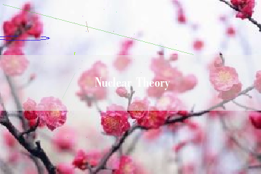 Nuclear Theory Nuclear Theory