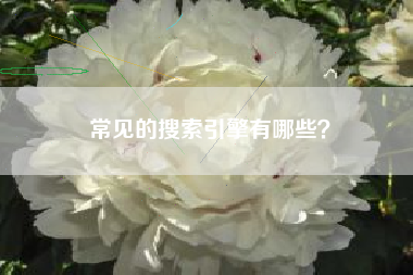 常见的搜索引擎有哪些？