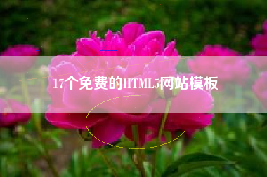 17个免费的HTML5网站模板