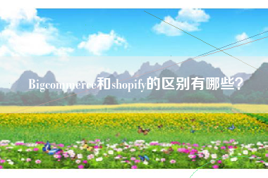 Bigcommerce和shopify的区别有哪些？