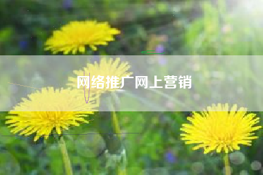 网络推广网上营销