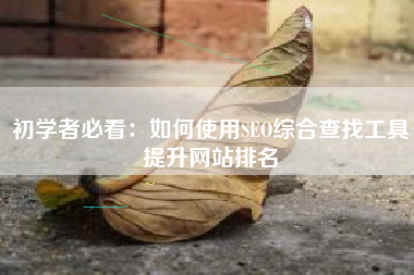 初学者必看：如何使用SEO综合查找工具提升网站排名