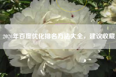 2020年百度优化排名方法大全，建议收藏