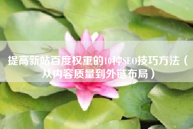 提高新站百度权重的10种SEO技巧方法（从内容质量到外链布局）