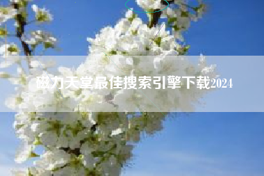 磁力天堂最佳搜索引擎下载2024