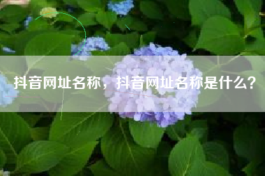 抖音网址名称，抖音网址名称是什么？