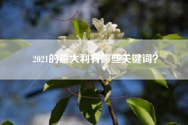 2021的意大利有哪些关键词？