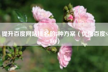 提升百度网站排名的5种方案（优化百度SEO）