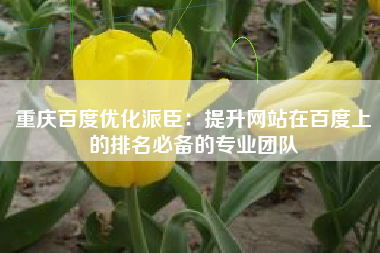 重庆百度优化派臣：提升网站在百度上的排名必备的专业团队