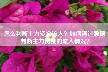 怎么判断主力资金流入？如何通过数据判断主力资金的流入情况？