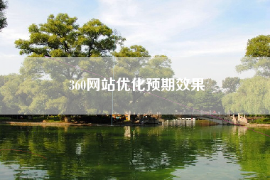 360网站优化预期效果