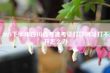 2021下半年四川省考准考证打印网址打不开怎么办